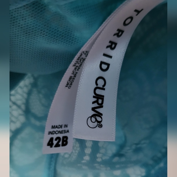 Torrid Curve Teal Lace Underwire Bra - Picture 9 of 10